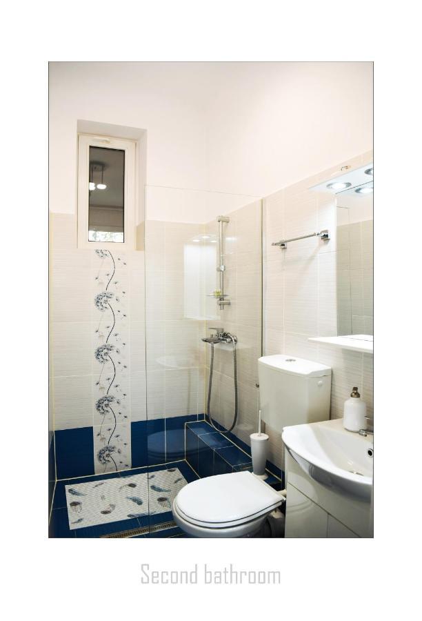 Apartament Dinicu, Brasov, Romania 外观 照片